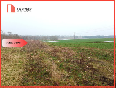 Malownicza działka wśród lasów i pól - OKAZJA - Gądek  -
Wielkopolskie Zdjęcie nr 6