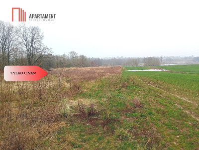 Malownicza działka wśród lasów i pól - OKAZJA - Gądek  -
Wielkopolskie Zdjęcie nr 9