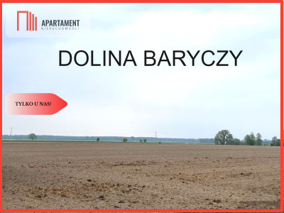 Działki z WZ w Dolinie Baryczy - Wziąchowo Wielkie  -
Dolnośląskie Zdjęcie nr 3