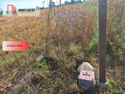 Z miasta na wieś Idealne miejsce do zamieszkania - Boruchowo  -
Wielkopolskie Zdjęcie nr 5