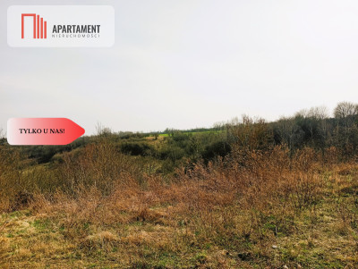 Działka budowlana w wyjątkowo  malowniczej okolicy - Ujście  -
Wielkopolskie Zdjęcie nr 5