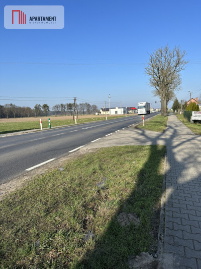 Działka budowlana w Ludomach - Ludomy  -
Wielkopolskie Zdjęcie nr 4