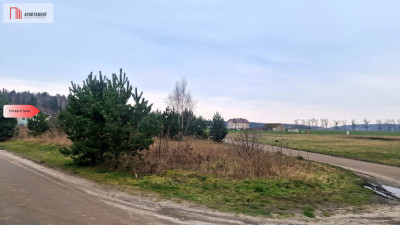 Działka  z projektem domu ok Szubina - Stanisławka  -
Kujawsko-Pomorskie Zdjęcie nr 12