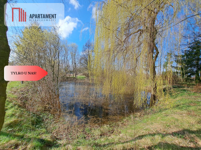 Duża działka ze stawem i drzewami - Pruszcz  - Kujawsko-Pomorskie
