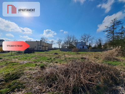 Duża działka ze stawem i drzewami - Pruszcz  -
Kujawsko-Pomorskie Zdjęcie nr 4