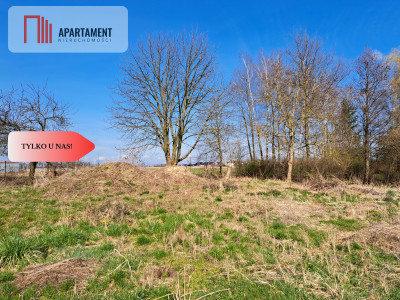 Duża działka ze stawem i drzewami - Pruszcz  -
Kujawsko-Pomorskie Zdjęcie nr 5