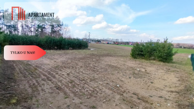 Tylko u nas Działka nad jeziorem - Sobącz  -
Pomorskie Zdjęcie nr 7