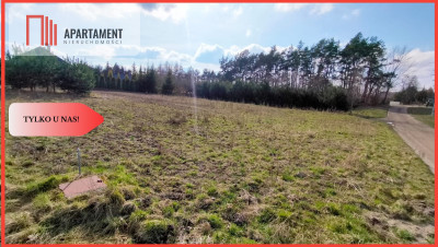 Tylko u nas Działka nad jeziorem - Sobącz  -
Pomorskie Zdjęcie nr 8