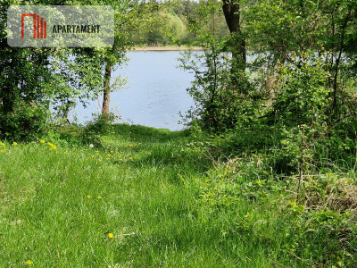 Niepowtarzalne  działki z linią brzegową jeziora - Wiewiórczyn  -
Kujawsko-Pomorskie Zdjęcie nr 2