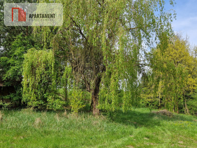 Niepowtarzalne  działki z linią brzegową jeziora - Wiewiórczyn  -
Kujawsko-Pomorskie Zdjęcie nr 5