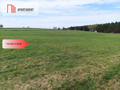 TYLKO U NAS  PIĘKNA OTOCZONA BORAMI DZIAŁKA  - Radańska  -
Kujawsko-Pomorskie Zdjęcie nr 2