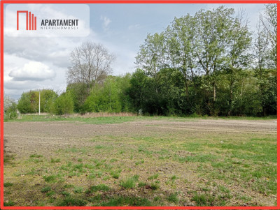Atrakcyjna działka w Wiktorowie - Wiktorowo  - Kujawsko-Pomorskie