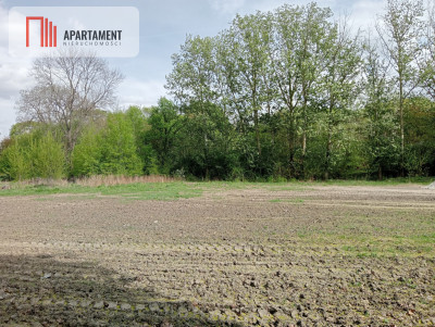 Atrakcyjna działka w Wiktorowie - Wiktorowo  -
Kujawsko-Pomorskie Zdjęcie nr 2