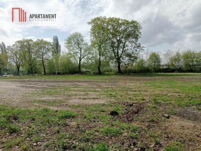 Atrakcyjna działka w Wiktorowie - Wiktorowo  -
Kujawsko-Pomorskie Zdjęcie nr 3