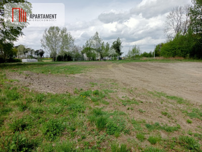 Atrakcyjna działka w Wiktorowie - Wiktorowo  -
Kujawsko-Pomorskie Zdjęcie nr 4