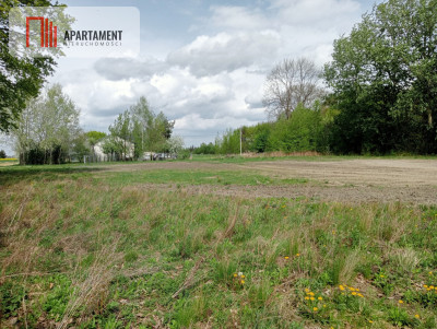 Atrakcyjna działka w Wiktorowie - Wiktorowo  -
Kujawsko-Pomorskie Zdjęcie nr 5