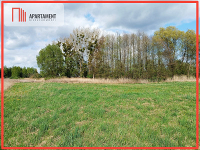 DUŻA DZIAŁKA W DĄBROWIE CHEŁMIŃSKIEJ - Dąbrowa Chełmińska  - Kujawsko-Pomorskie