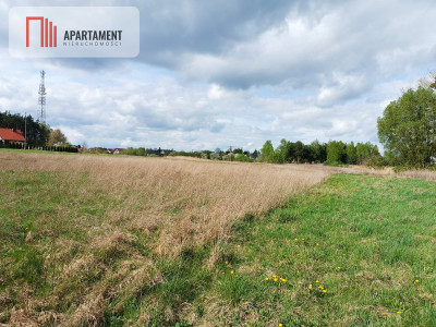 DUŻA DZIAŁKA W DĄBROWIE CHEŁMIŃSKIEJ - Dąbrowa Chełmińska  -
Kujawsko-Pomorskie Zdjęcie nr 3