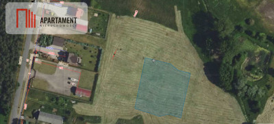 DUŻA DZIAŁKA W DĄBROWIE CHEŁMIŃSKIEJ - Dąbrowa Chełmińska  -
Kujawsko-Pomorskie Zdjęcie nr 4