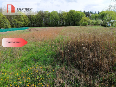 DWIE DZIAŁKI OBOK SIEBIE POD ZABUDOWĘ  - Dąbrowa Chełmińska  -
Kujawsko-Pomorskie Zdjęcie nr 5