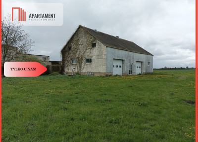 Budynek z potencjałem na dużej działce - Rucewko  - Kujawsko-Pomorskie