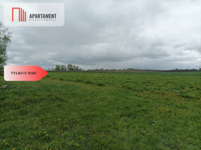 Budynek z potencjałem na dużej działce - Rucewko  -
Kujawsko-Pomorskie Zdjęcie nr 2