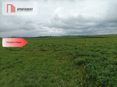 Budynek z potencjałem na dużej działce - Rucewko  -
Kujawsko-Pomorskie Zdjęcie nr 3