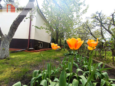 Urokliwa działka blisko Bydgoszczy Drzewce - Drzewce  -
Kujawsko-Pomorskie Zdjęcie nr 5