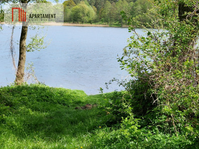 Niezwykłe działki przy jeziorze - Wiewiórczyn  -
Kujawsko-Pomorskie Zdjęcie nr 2