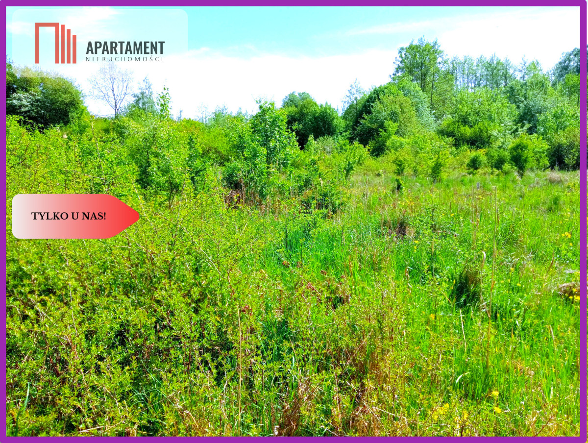 Piękna działka 150 m od Brdy - Samociążek  -
Kujawsko-Pomorskie Zdjęcie nr 1