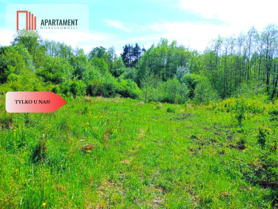 Piękna działka 150 m od Brdy - Samociążek  -
Kujawsko-Pomorskie Zdjęcie nr 2