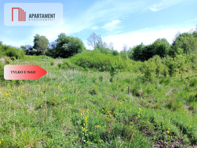 Piękna działka 150 m od Brdy - Samociążek  -
Kujawsko-Pomorskie Zdjęcie nr 4