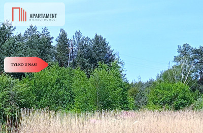 Piękna działka 150 m od Brdy - Samociążek  -
Kujawsko-Pomorskie Zdjęcie nr 5