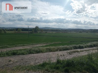 Działka inwestycyjna 25 ha - Jawor  -
Dolnośląskie Zdjęcie nr 3