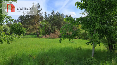 Wymarzona działka w zielonej okolicy - Czarnków - powiat czarnkowsko-trzcianecki  -
Wielkopolskie Zdjęcie nr 3