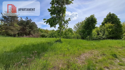 Wymarzona działka w zielonej okolicy - Czarnków - powiat czarnkowsko-trzcianecki  -
Wielkopolskie Zdjęcie nr 4