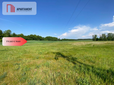 Działki z warunkami zabudowy Tylko u nas - Górne Maliki  -
Pomorskie Zdjęcie nr 4