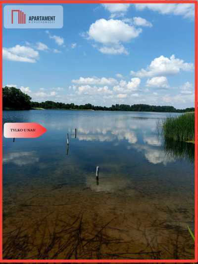 Sprzedaż praw do 2 działek ROD Łobżenica - Łobżenica  - Wielkopolskie