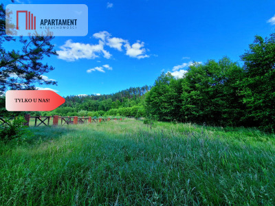 Tylko u Nas Działka przy Wdzie w Borach Tucholski - powiat świecki  -
Kujawsko-Pomorskie Zdjęcie nr 5