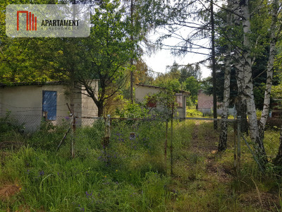 Działka siedliskowa  pod lasem 6 sztuk  - Grędzina  -
Dolnośląskie Zdjęcie nr 4