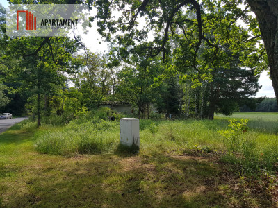 Działka siedliskowa  pod lasem 6 sztuk  - Grędzina  -
Dolnośląskie Zdjęcie nr 6