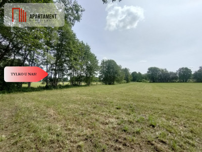 Działka wśród zieleni na granicy Borów Tucholskich - Bramka  -
Kujawsko-Pomorskie Zdjęcie nr 3