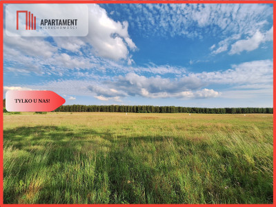 Działka budowlana w okazyjnej cenie Blisko Piły - Plecemin  - Wielkopolskie