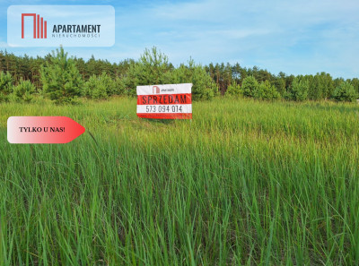 Działka budowlana w okazyjnej cenie Blisko Piły - Plecemin  -
Wielkopolskie Zdjęcie nr 2