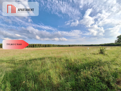 Działka budowlana w okazyjnej cenie Blisko Piły - Plecemin  -
Wielkopolskie Zdjęcie nr 3