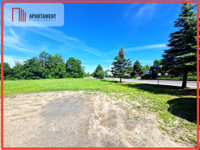 Duża działka usługowo-inwestycyjna przy drodze 240 - Silno  - Pomorskie