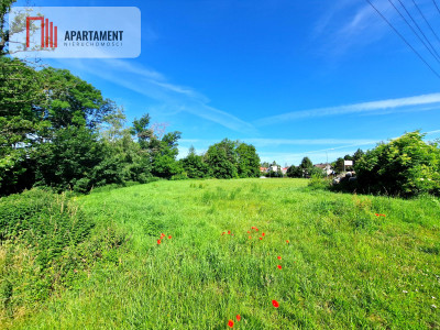 Duża działka usługowo-inwestycyjna przy drodze 240 - Silno  -
Pomorskie Zdjęcie nr 2