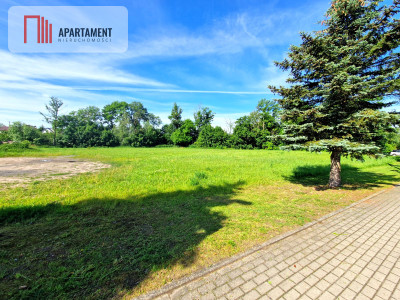 Duża działka usługowo-inwestycyjna przy drodze 240 - Silno  -
Pomorskie Zdjęcie nr 3