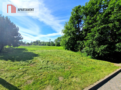 Duża działka usługowo-inwestycyjna przy drodze 240 - Silno  -
Pomorskie Zdjęcie nr 4