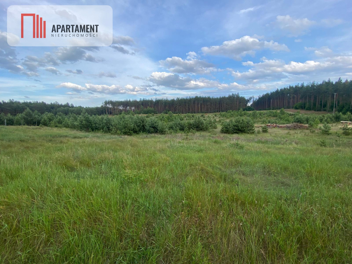 Urokliwa Działka na sprzedaż- Twoje Miejsce na Dom - Nowa Kiszewa  -
Pomorskie Zdjęcie nr 1